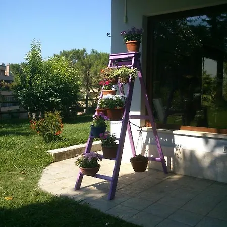 Relais La Canfora Casa de hóspedes