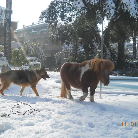 Relais La Canfora Rom